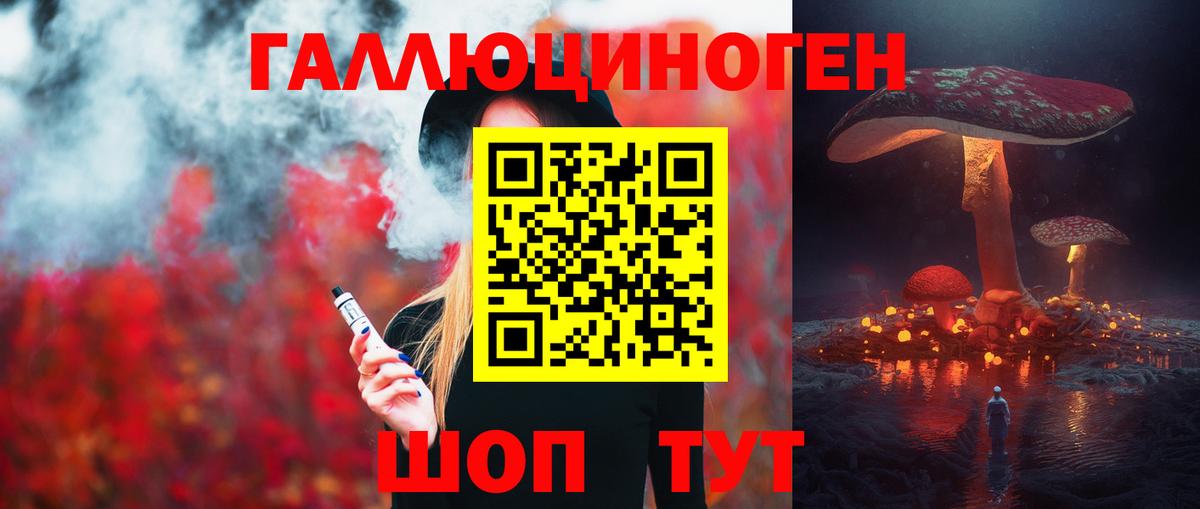 Гусиноозёрск  Псилоцибиновые грибы GOLDEN TEACHER  Вход с VPN  Галлюциногенные грибы Psilocybine cubensis 